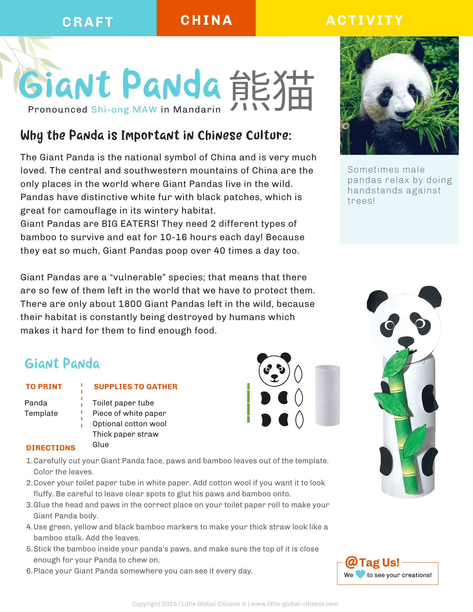 China Digital Country Guide