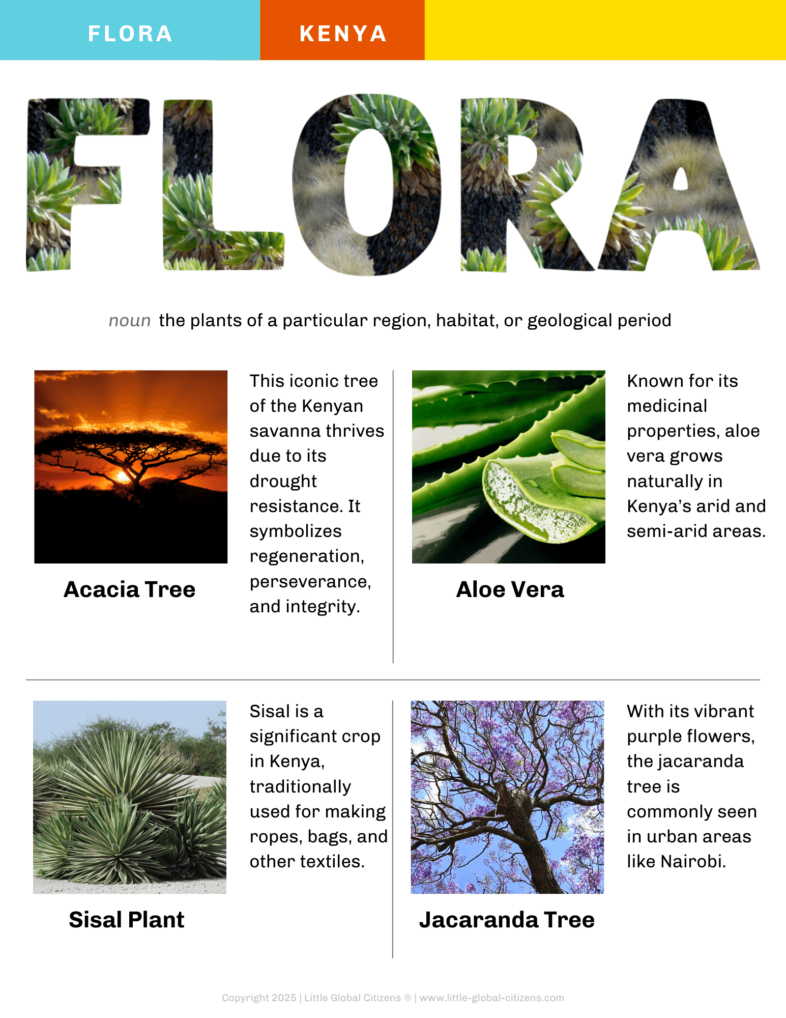 Kenya Digital Country Guide