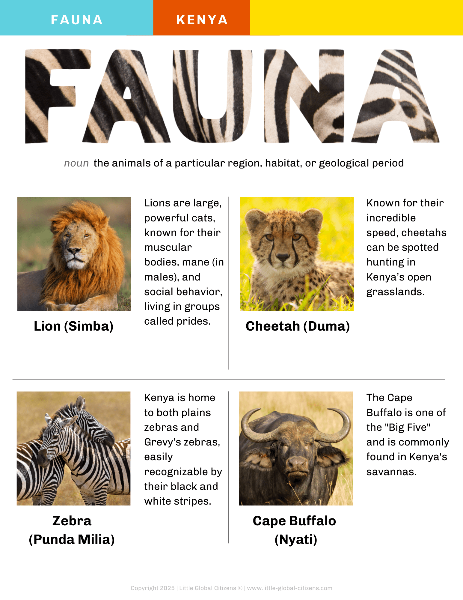 Kenya Digital Country Guide